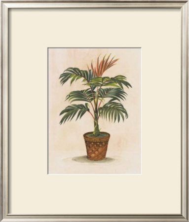 St. Lucia by Peggy Abrams Pricing Limited Edition Print image