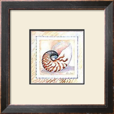 Bordered Shell-Nautilus by Paul Brent Pricing Limited Edition Print image