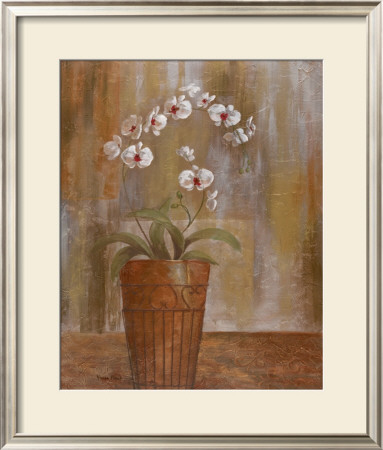 Orchid Elegance I by Vivian Flasch Pricing Limited Edition Print image