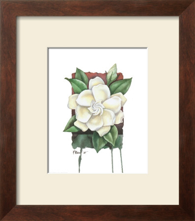Gardenia by Paul Brent Pricing Limited Edition Print image