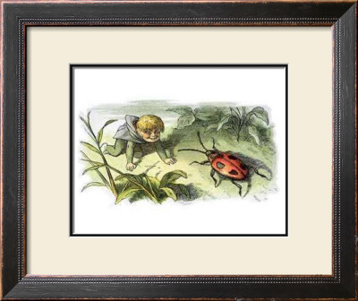 Bo! To A Beetle by Richard Doyle Pricing Limited Edition Print image