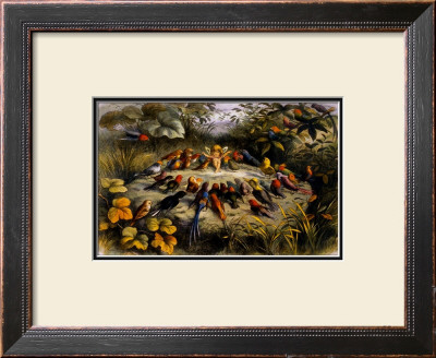 Fairy Rehearsal by Richard Doyle Pricing Limited Edition Print image