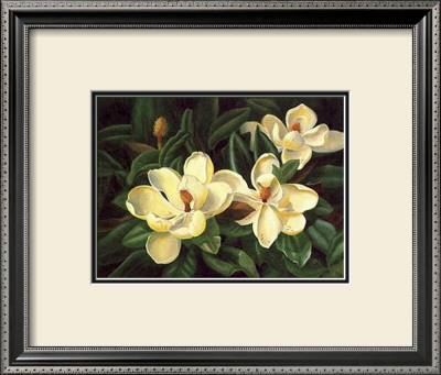 Bountiful Magnolia by Barbara Shipman Pricing Limited Edition Print image