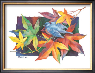Autumn Bluebird by Paul Brent Pricing Limited Edition Print image