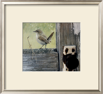 House Wren by Jan Martin Mcguire Pricing Limited Edition Print image