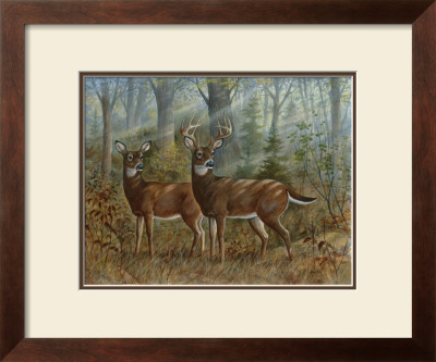 Deer Family Ii by Ron Jenkins Pricing Limited Edition Print image