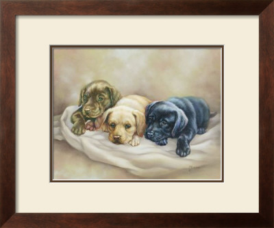 Time To Rest by Judy Gibson Pricing Limited Edition Print image