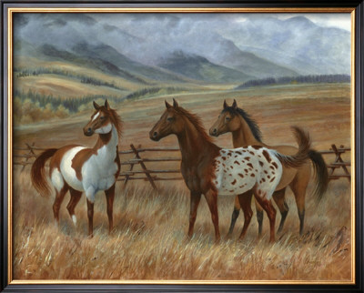 Appaloosa Ii by Ron Jenkins Pricing Limited Edition Print image