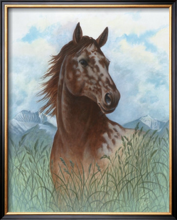Appaloosa Portrait by Ron Jenkins Pricing Limited Edition Print image