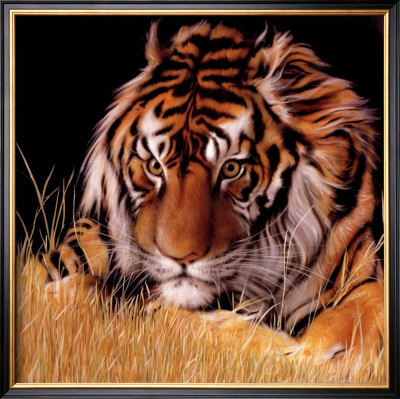 Paper Tiger by Dave Merrick Pricing Limited Edition Print image
