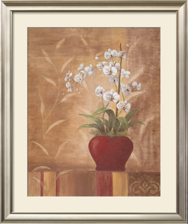 Orchid Obsession Ii by Vivian Flasch Pricing Limited Edition Print image