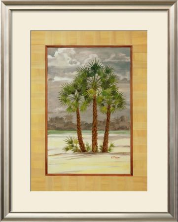 Mediterranean Fan Palm by Paul Brent Pricing Limited Edition Print image