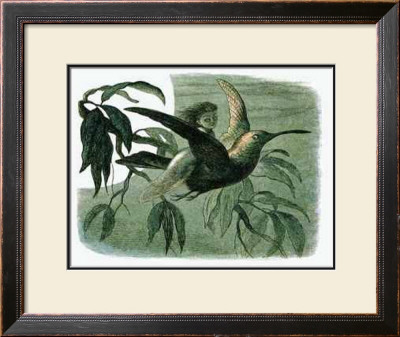Moonlight Rider by Richard Doyle Pricing Limited Edition Print image