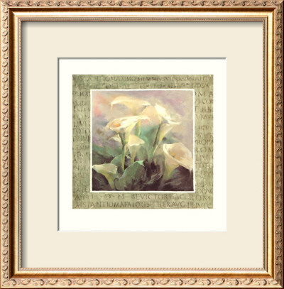 Ancient Arums by Willem Haenraets Pricing Limited Edition Print image