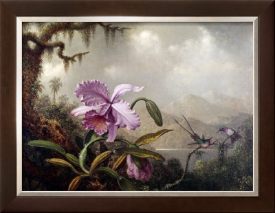 Hummingbirds And Orchids by Martin Johnson Heade Pricing Limited Edition Print image