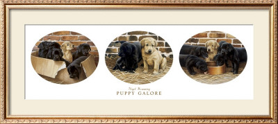 Puppy Galore by Nigel Hemming Pricing Limited Edition Print image