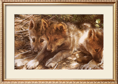 Pick Of The Pack by Carl Brenders Pricing Limited Edition Print image