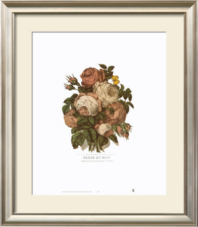 Roses Of May by Currier & Ives Pricing Limited Edition Print image
