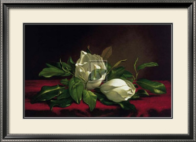 Magnolia Still Life I by Martin Johnson Heade Pricing Limited Edition Print image