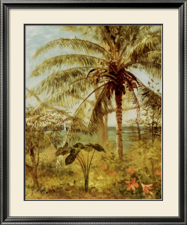 Palm Tree, Nassau 1892 by Albert Bierstadt Pricing Limited Edition Print image