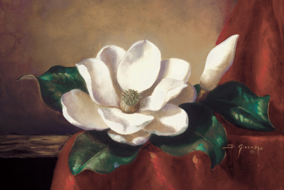 Magnolia Vignette L by Fran Di Giacomo Pricing Limited Edition Print image