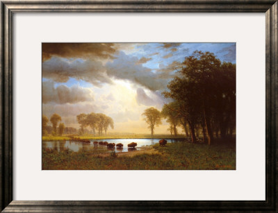 Buffalo Trail by Albert Bierstadt Pricing Limited Edition Print image