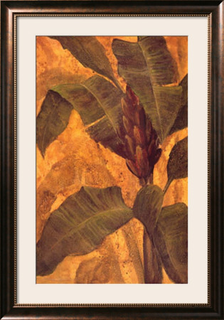 Banana Blossom I by Steve Butler Pricing Limited Edition Print image