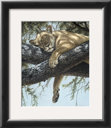Lake Manyara Lioness by Guy Coheleach Pricing Limited Edition Print image
