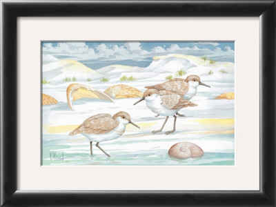 Shell Island Sandpipers by Paul Brent Pricing Limited Edition Print image