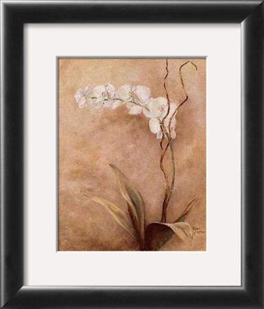 Subdued Floral Ii by Rhonda Mcenroe Pricing Limited Edition Print image