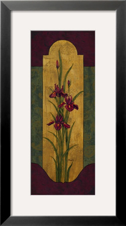 Greek Iris Ii by Paul Brent Pricing Limited Edition Print image