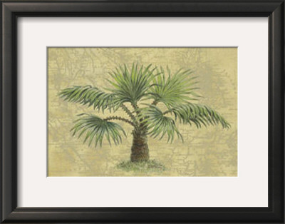 Palmas Isle by Janet Kruskamp Pricing Limited Edition Print image