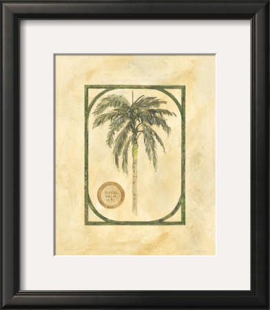 Royal Palm by David Nichols Pricing Limited Edition Print image
