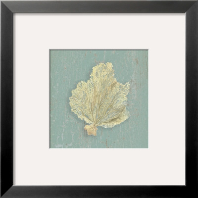 Sea Fan by Lisa Danielle Pricing Limited Edition Print image