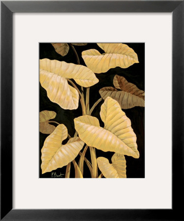 Tropical Leaves by Paul Brent Pricing Limited Edition Print image
