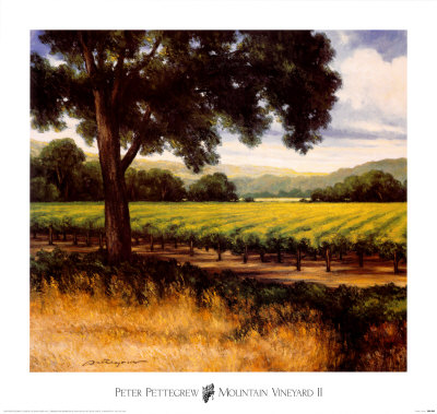 Mountain Vineyard Ii by Peter Pettegrew Pricing Limited Edition Print image