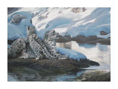 Watchful Eye, Snow Leopards by Terry Isaac Pricing Limited Edition Print image