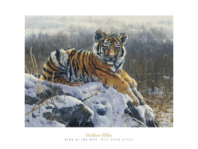 King Of The Hill by Matthew Hillier Pricing Limited Edition Print image