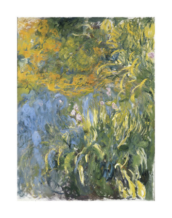 Iris, 1914-1917 by Claude Monet Pricing Limited Edition Print image