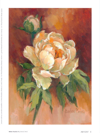 White Peonies Ii by Barbara Mock Pricing Limited Edition Print image