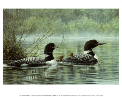 Northern Reflection, Loons by Don Li-Leger Pricing Limited Edition Print image