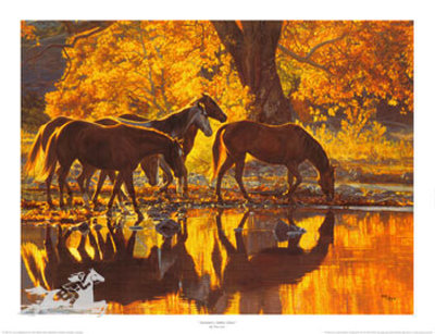 Autumn's Amber Glow by Tim Cox Pricing Limited Edition Print image