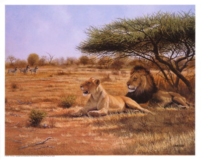 Lion Couple by Clive Kay Pricing Limited Edition Print image