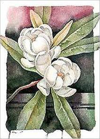 Magnolia by Paul Brent Pricing Limited Edition Print image