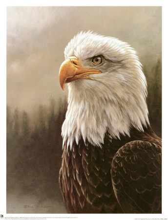 Bald Eagle Portrait by Alan Hunt Pricing Limited Edition Print image