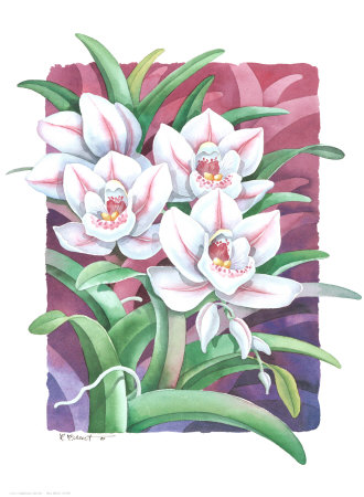 Orchis I-Cymbidium by Paul Brent Pricing Limited Edition Print image