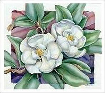 Magnolia Grandiflora by Paul Brent Pricing Limited Edition Print image