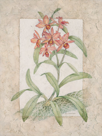 Orchid Fresco Ii by Debra Swartzendruber Pricing Limited Edition Print image