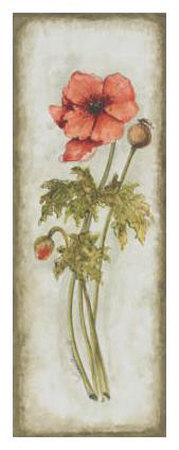 Flowers Anew by Peggy Abrams Pricing Limited Edition Print image