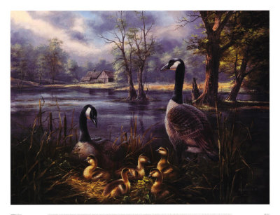 Parenthood, Canada Geese by Rudi Reichardt Pricing Limited Edition Print image